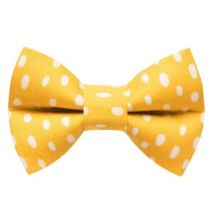 The Always Sunny in Pickle-delphia - Cat / Dog Bow Tie