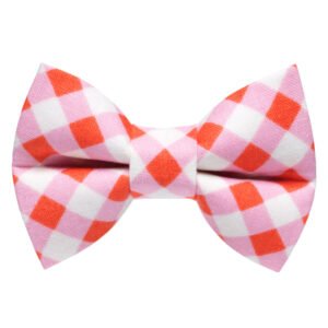 The New Neighbor - Cat / Dog Bow Tie